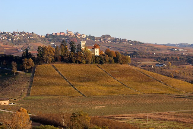 Langhe - Piemonte da vedere