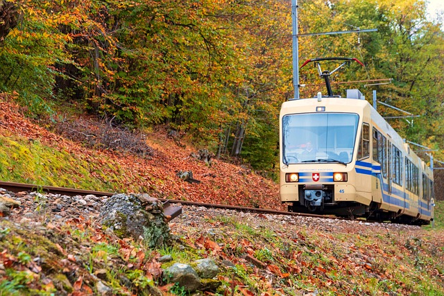Trenino delle Centovalli - Piemonte Turismo